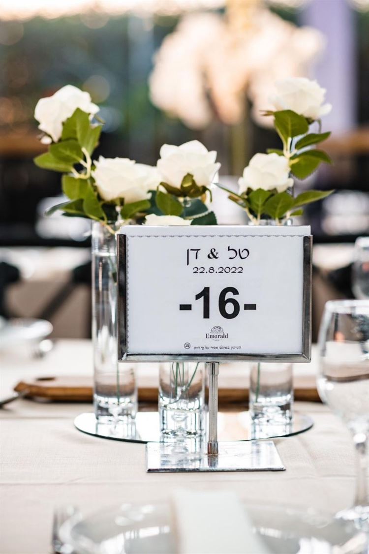 החתונה של טל ודן דינר (צילום: alexanddavidweddings)