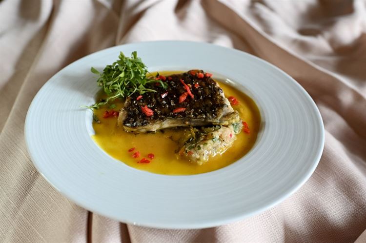 תפריט 2023 של מתחם האירועים 'עדיה' (צילום: וואלה! מזל טוב)