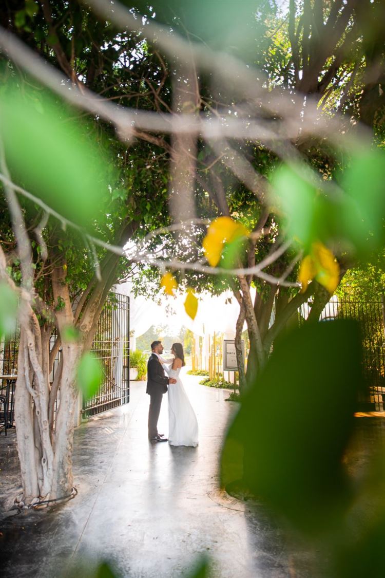 החתונה של רון ושי טסה (צילום: חיים אפריאט)