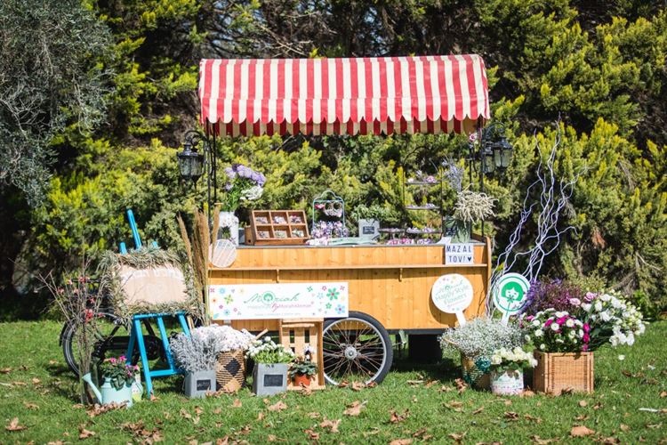 חתונת שישי בצהריים בחוות רונית (צילום: וואלה! מזל טוב)
