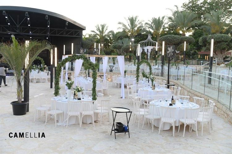 החתונה של אוראל חזיזה וגל הללי (צילום: קמליה)