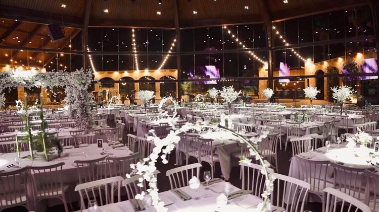 החתונה של ימית מזוז ומאיר כהן (צילום: רון תורג'מן)