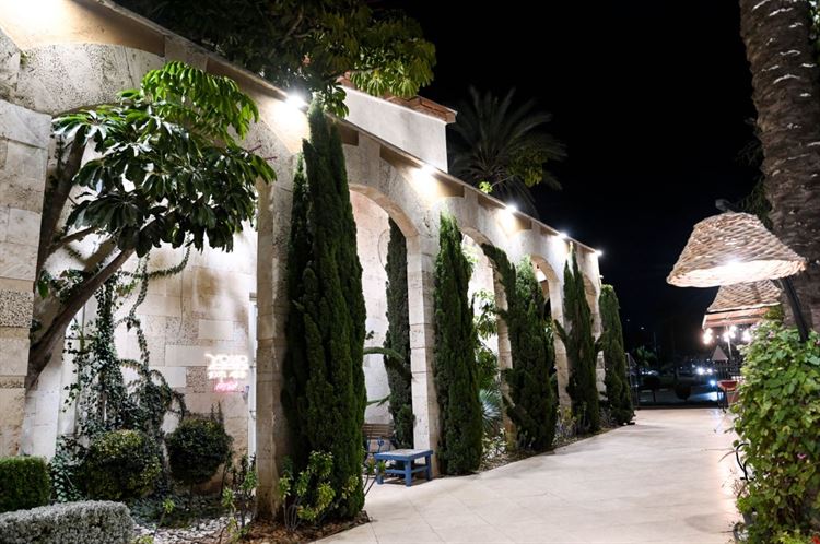 עיצוב בהשראת הטבע (צילום: וואלה! מזל טוב)