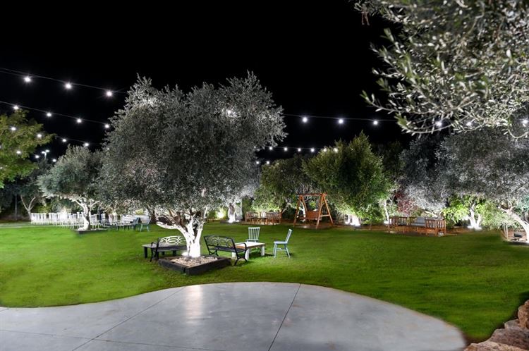 בגן תוכלו למצוא פינות חמד (צילום: וואלה! מזל טוב)