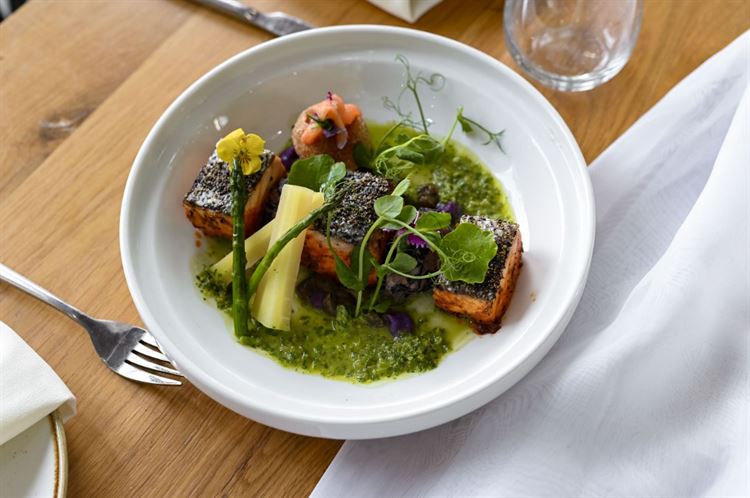 מנה מפנקת ומטריפה (צילום: וואלה מזל טוב)