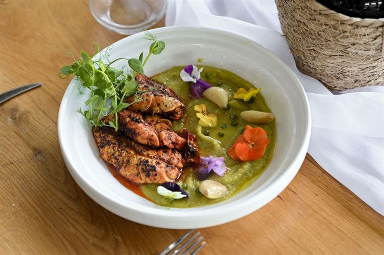 התפריט החדש של מתחם האירועים 'סקיי גארדן' (צילום: וואלה! מזל טוב)