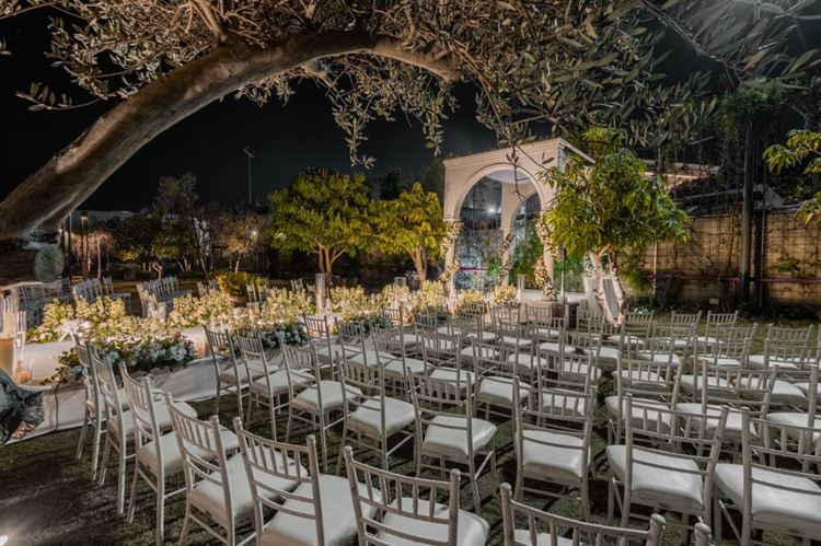 (צילום: MARVIN)