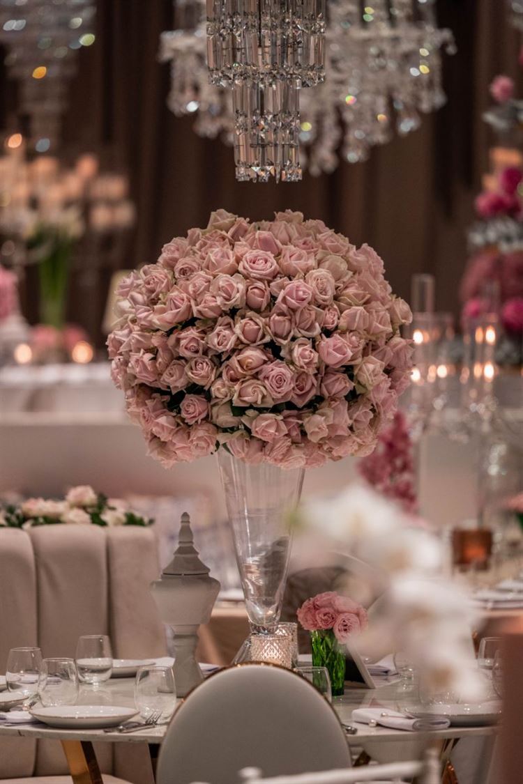 (צילום: MARVIN)