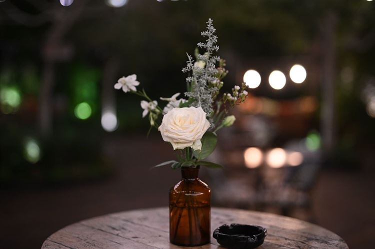 (צילום: מומנטוס)