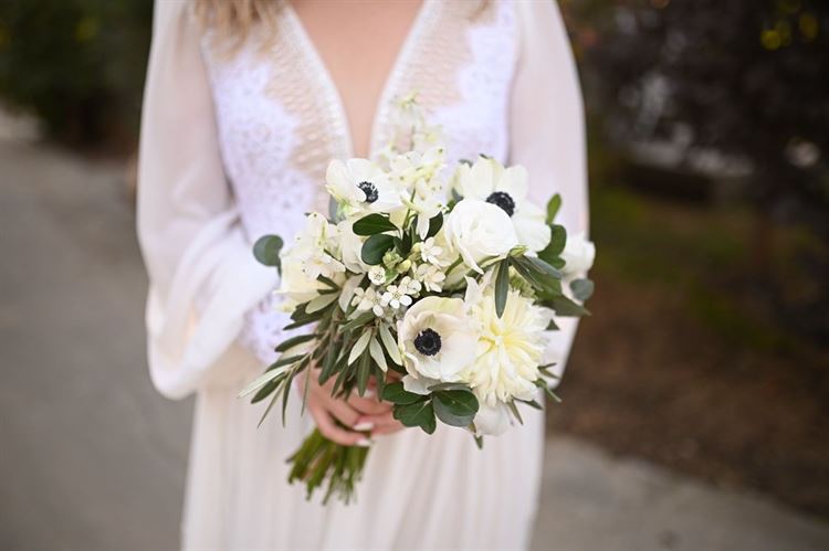 (צילום: מומנטוס)