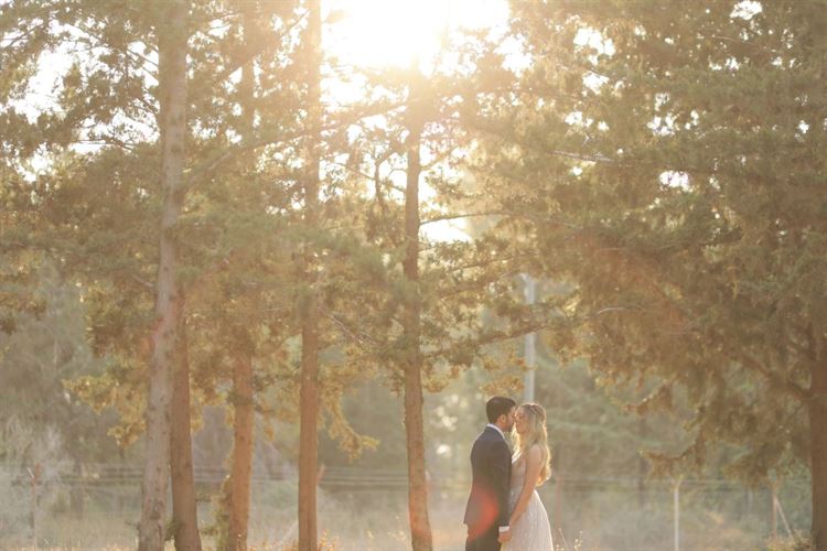 החתונה של גל ואל ועומר סורל (צילום: אורי כהן)