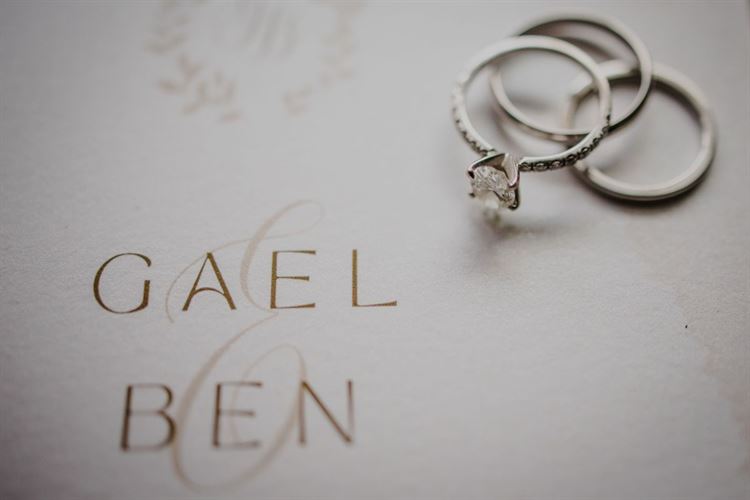 החתונה של גאל טל ובן שטרית (צילום: אלי ראול)