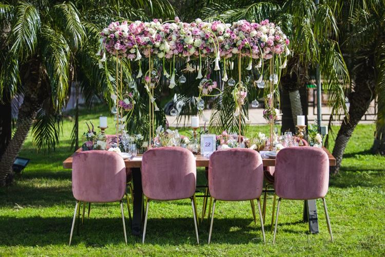 למטיבי לכת (צילום: עידן כנפי | הפקת וואלה! מזל טוב)