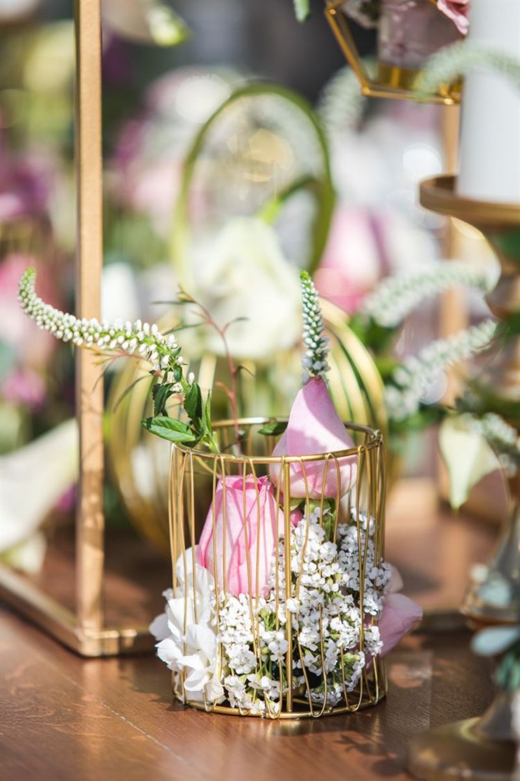 (צילום: עידן כנפי | הפקת וואלה! מזל טוב)