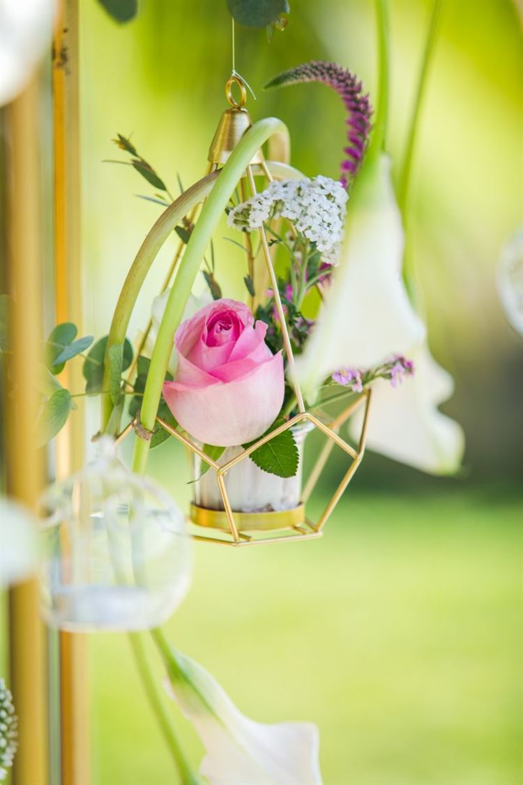 (צילום: עידן כנפי | הפקת וואלה! מזל טוב)