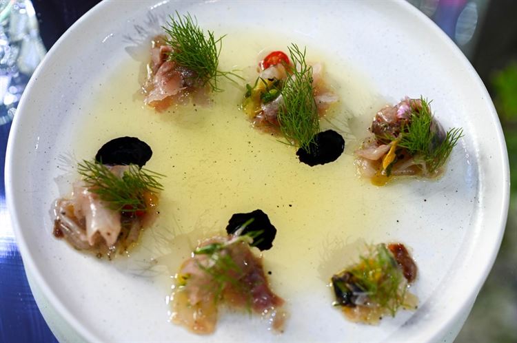 (צילום: וואלה! מזל טוב)