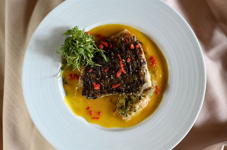 (צילום: וואלה! מזל טוב)