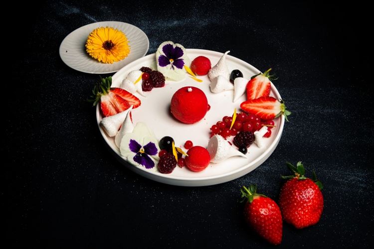 כן, גם זה טבעוני, הבית הירוק (צילום: יחצ)