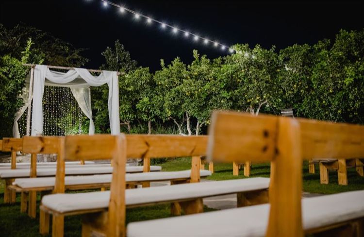 החתונה של מורן פרידמן וירדן ניצני (צילום: אלי ראול)