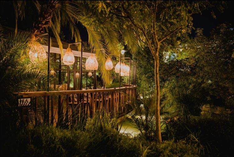 החתונה של מורן פרידמן וירדן ניצני (צילום: אלי ראול)