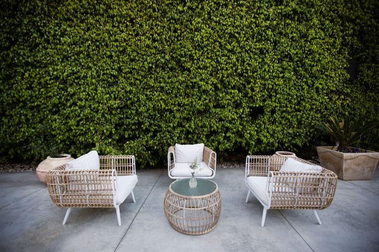 (צילום: וואלה! מזל טוב)