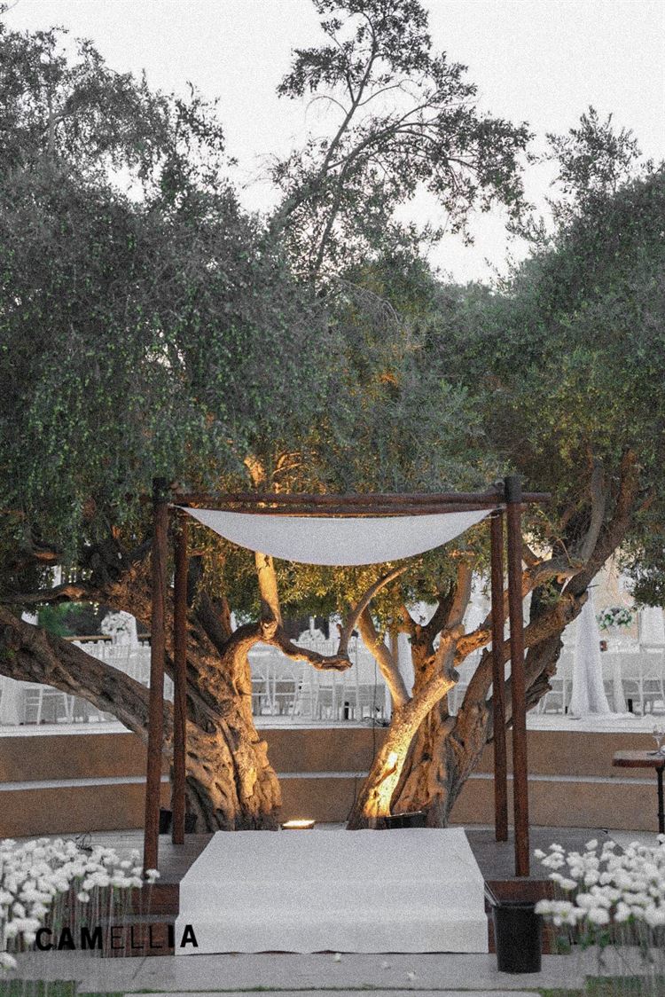 החתונה של אליה שטרית ואליאור בן נון (צילום: פיני קמליה)