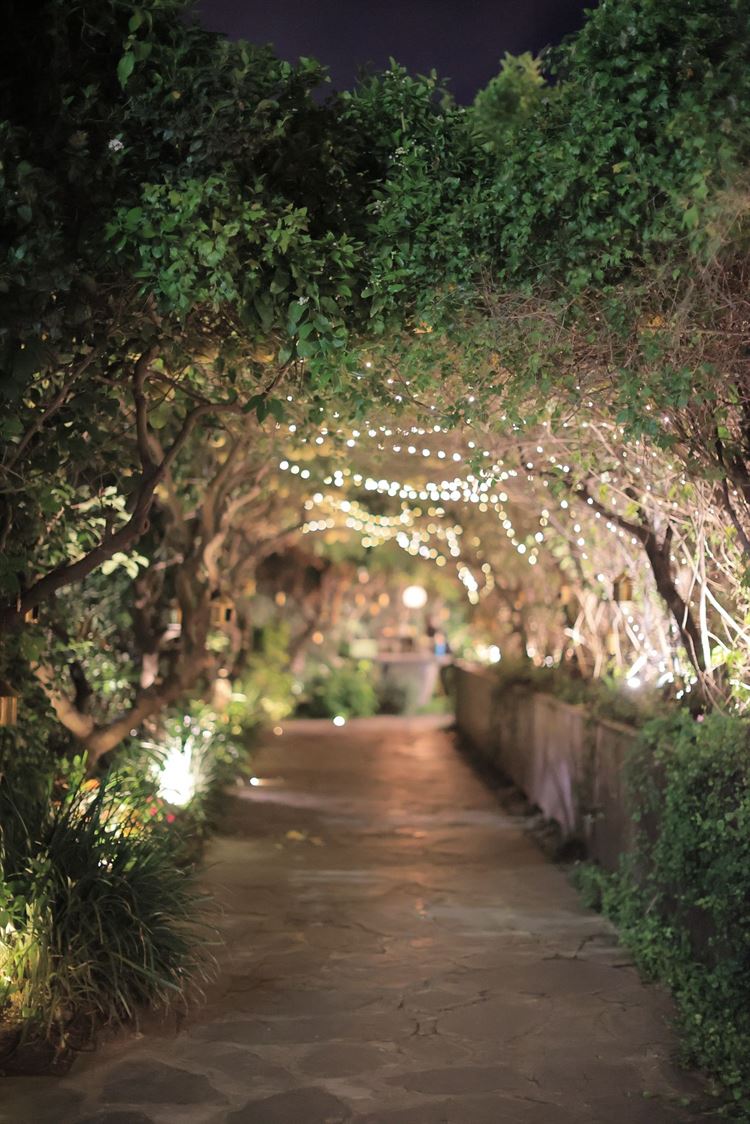 מתחם האירועים אלכסנדר | החתונה של עמית חסון וירדן כהן (צילום: אלון אנקונינה)