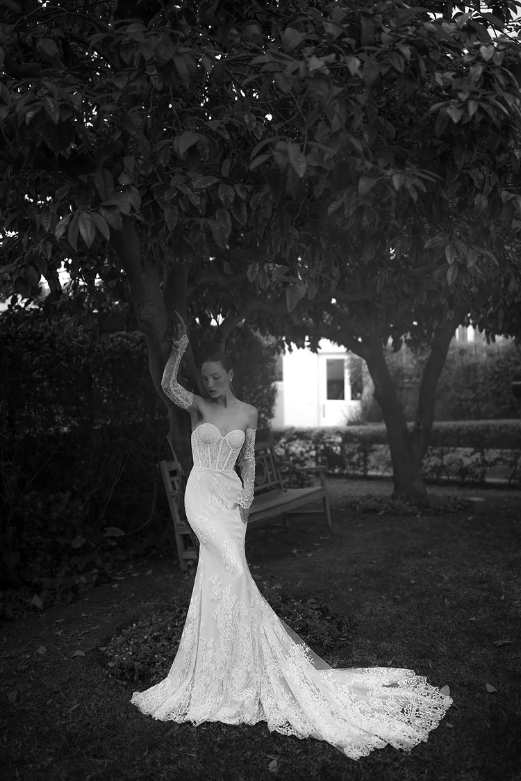 רכות אינסופית - 