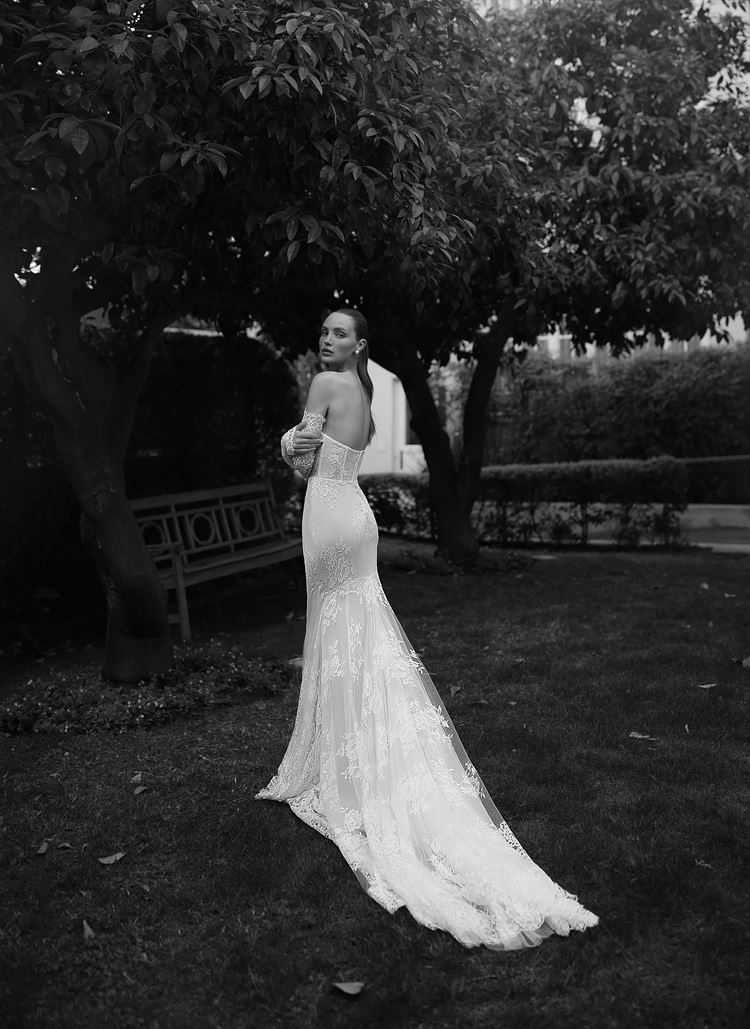 רכות אינסופית - 