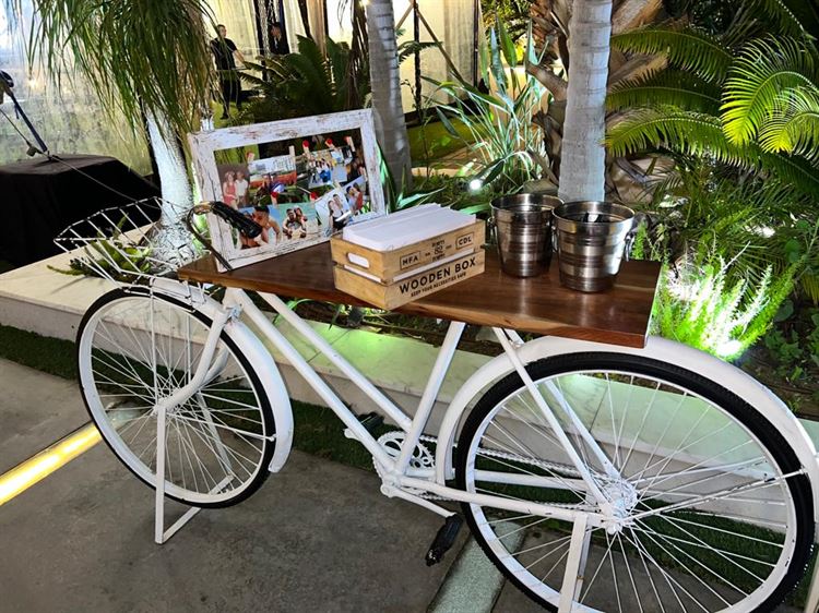 החתונה של אלינה חאיט ושלום ג'רבי (צילום: אייל צלמים)