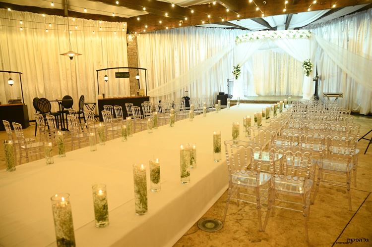 החתונה של דניאל רובין ועמית זינו (צילום: גל הפקות)