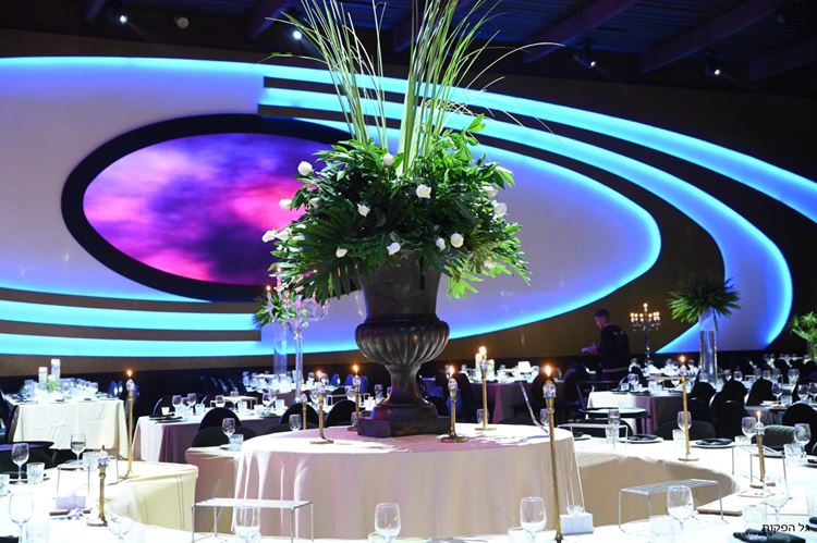 החתונה של דניאל רובין ועמית זינו (צילום: גל הפקות)