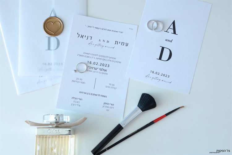 החתונה של דניאל רובין ועמית זינו (צילום: גל הפקות)