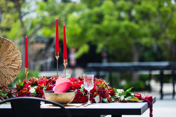 הפקת וואלה! מזל טוב בשרונית (צילום: עידן כנפי)