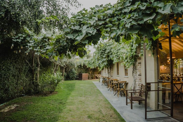 החתונה של דניאל ואוראל (צילום: אלי ראול)