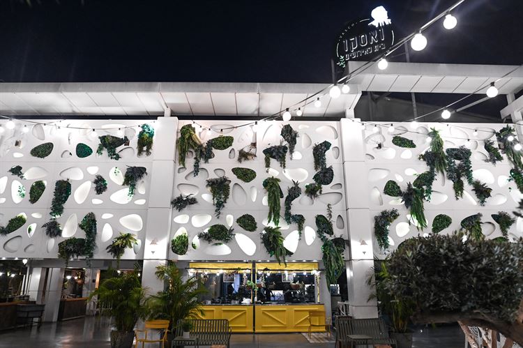 מתחם האירועים ואסקו (צילום: וואלה! מזל טוב)