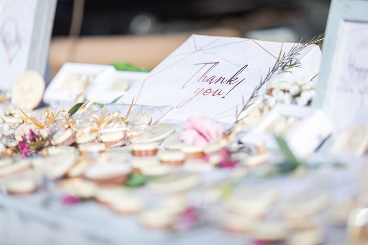 הפקת וואלה! בחוות רונית (צילום: עידן כנפי)