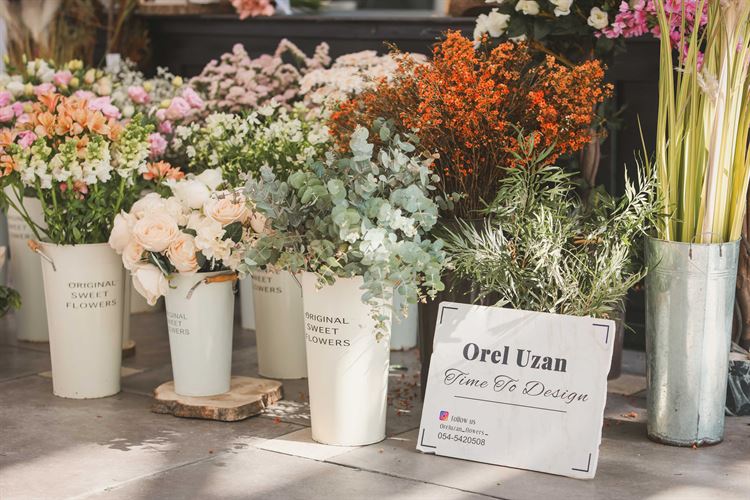 הפקת וואלה! מזל טוב בעדיה (צילום: עידן כנפי)