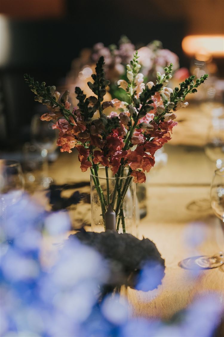 החתונה של אדל ואור (צילום: עידן חסון)