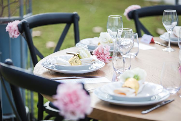 הפקת וואלה! מזל טוב בחוות רונית (צילום: עידן כנפי)