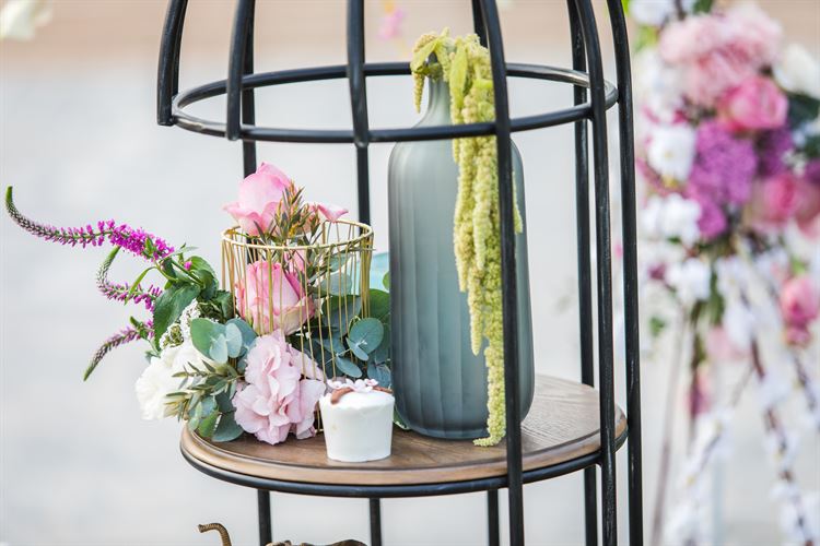 הפקת וואלה! מזל טוב בחוות רונית (צילום: עידן כנפי)