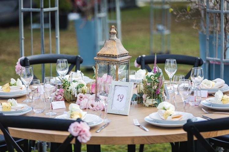 הפקת וואלה! מזל טוב בחוות רונית (צילום: עידן כנפי)