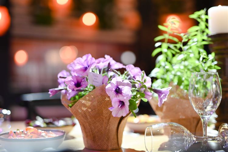 החתונה של דניאל וירון (צילום: חן כדורי, smile)