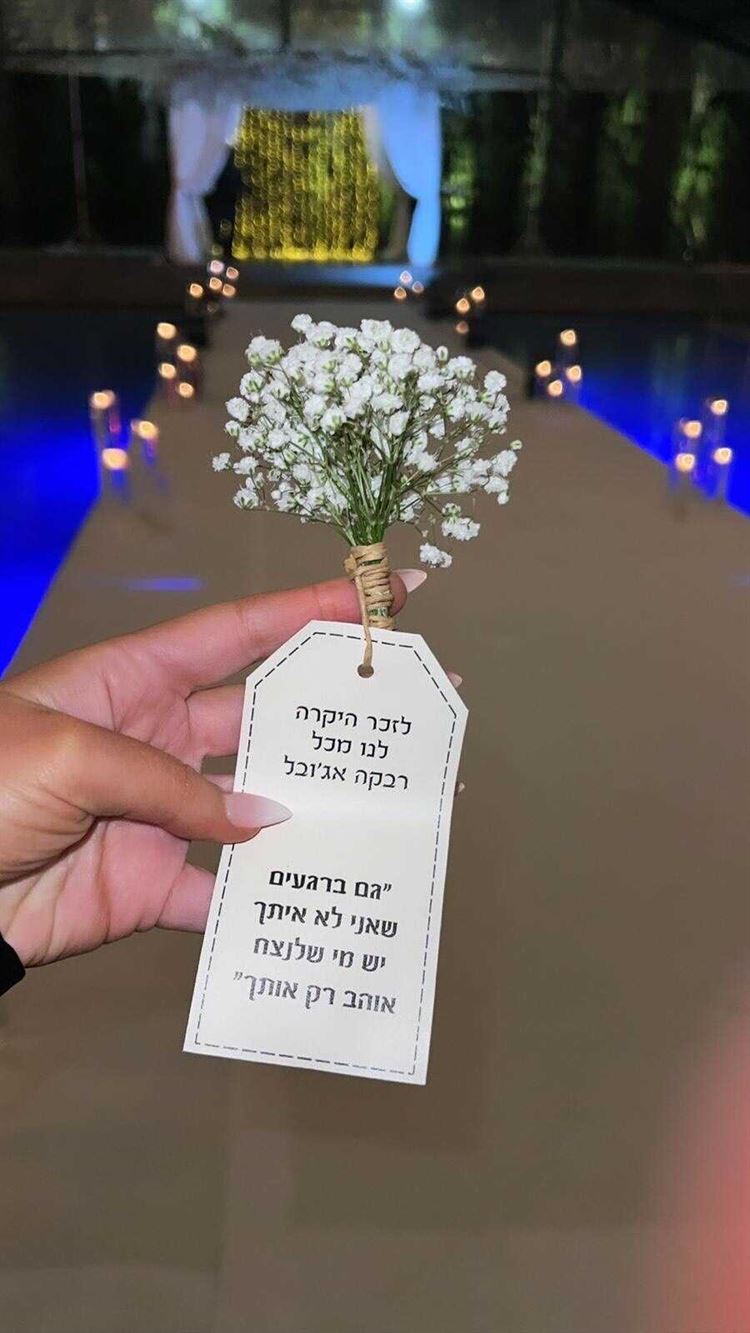 החתונה של טליה ולידור (צילום: רד קאמרה)