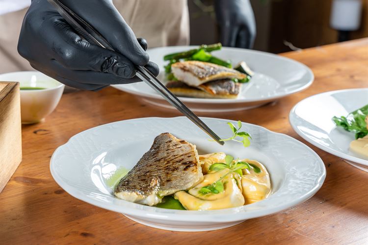 מעניקים דגש לנראות של המנה (צילום: דוד מויאל)