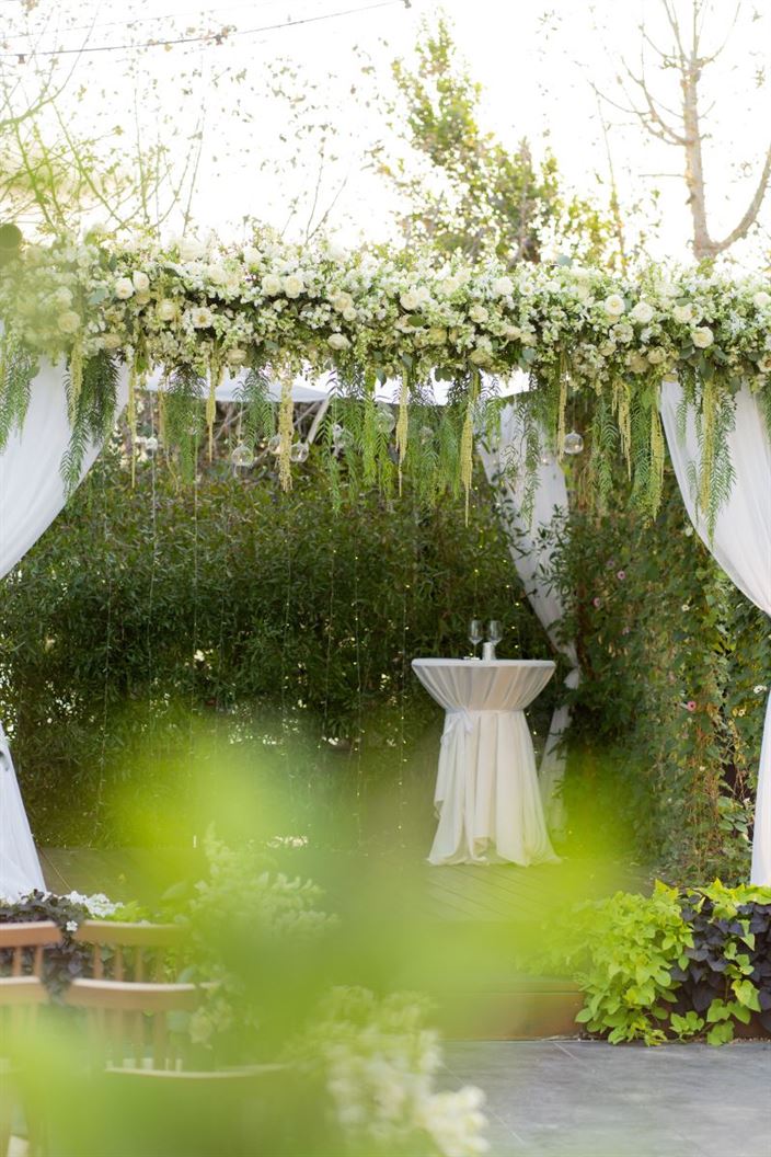 חתונות בדולינה #1