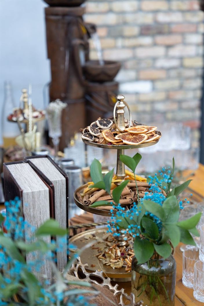 קבלת פנים בדולינה #6