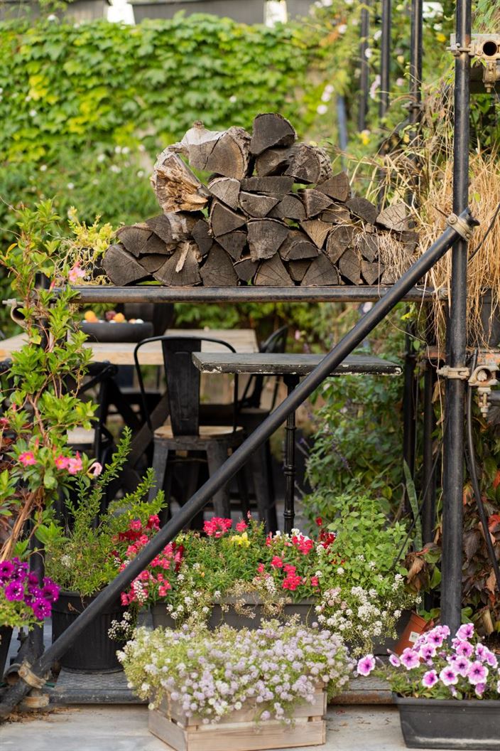 קבלת פנים בדולינה #5