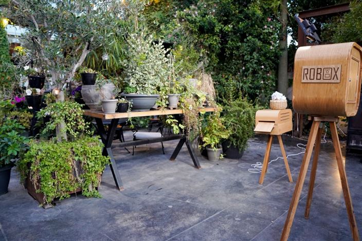 קבלת פנים בדולינה #3