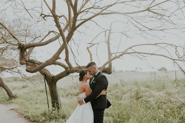 החתונה של אמילי ומיכאל (צילום: עומר שפירא)